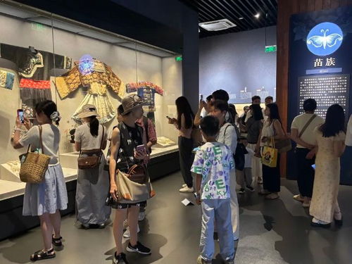 文化納涼 繪就南明夏日清涼畫卷 多元場(chǎng)館解鎖消暑新體驗(yàn)